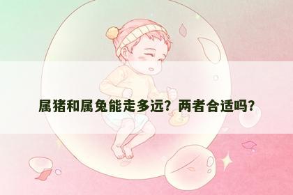 属猪和属兔能走多远？两者合适吗？