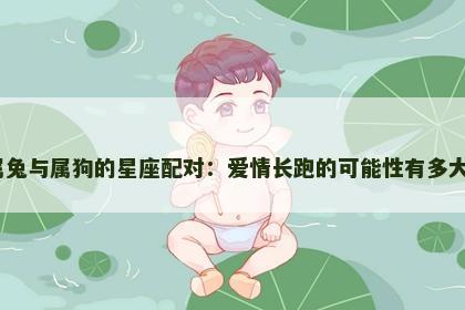 属兔与属狗的星座配对：爱情长跑的可能性有多大？