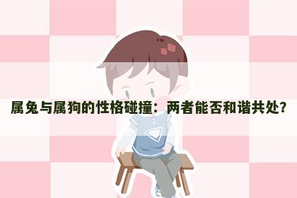 属兔与属狗的性格碰撞：两者能否和谐共处？