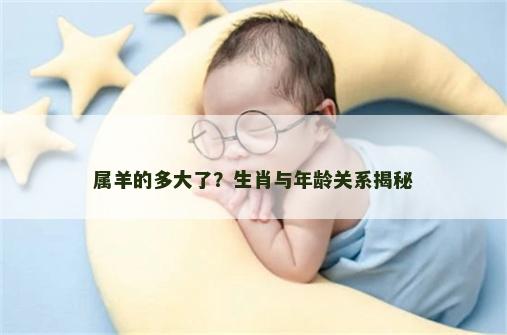 属羊的多大了？生肖与年龄关系揭秘