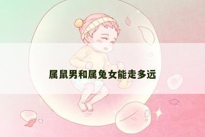 属鼠男和属兔女能走多远