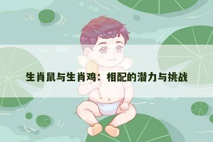 生肖鼠与生肖鸡：相配的潜力与挑战