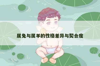 属兔与属羊的性格差异与契合度