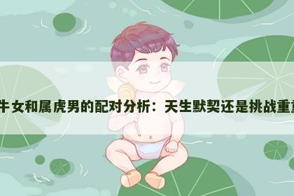 属牛女和属虎男的配对分析：天生默契还是挑战重重？