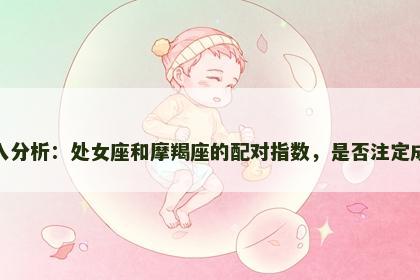 深入分析：处女座和摩羯座的配对指数，是否注定成功