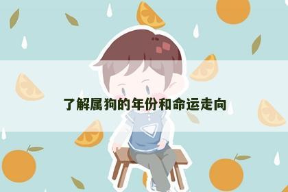 了解属狗的年份和命运走向