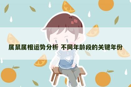 属鼠属相运势分析 不同年龄段的关键年份