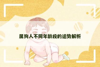 属狗人不同年龄段的运势解析