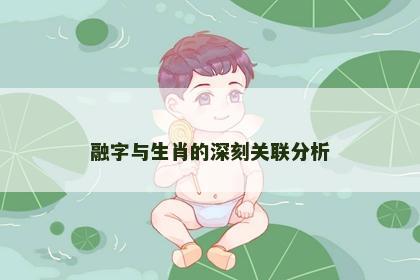 融字与生肖的深刻关联分析