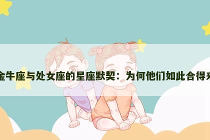 金牛座与处女座的星座默契：为何他们如此合得来