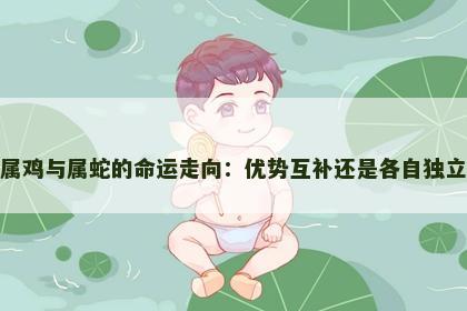 属鸡与属蛇的命运走向：优势互补还是各自独立