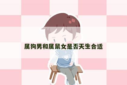 属狗男和属鼠女是否天生合适