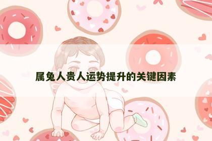 属兔人贵人运势提升的关键因素