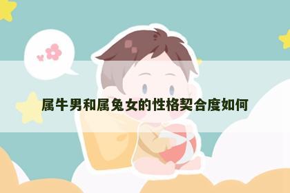 属牛男和属兔女的性格契合度如何