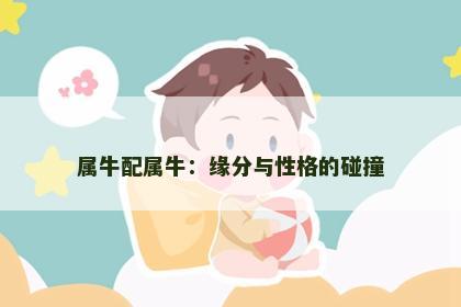 属牛配属牛：缘分与性格的碰撞
