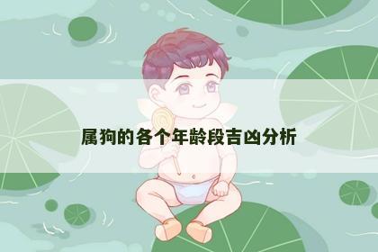 属狗的各个年龄段吉凶分析