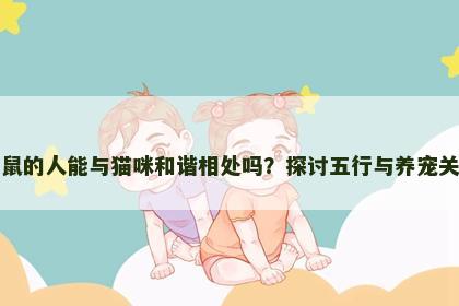 属鼠的人能与猫咪和谐相处吗？探讨五行与养宠关系