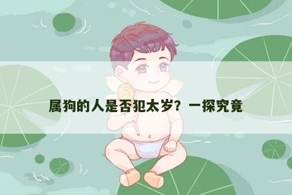 属狗的人是否犯太岁？一探究竟