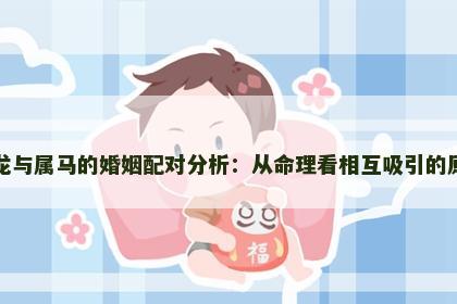 属龙与属马的婚姻配对分析：从命理看相互吸引的原因