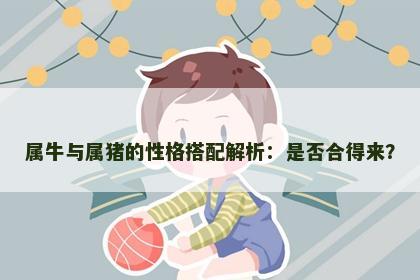 属牛与属猪的性格搭配解析：是否合得来？