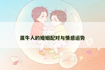 属牛人的婚姻配对与情感运势