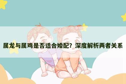 属龙与属鸡是否适合婚配？深度解析两者关系