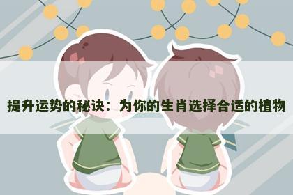 提升运势的秘诀：为你的生肖选择合适的植物