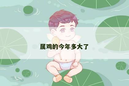 属鸡的今年多大了