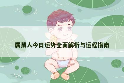 属鼠人今日运势全面解析与运程指南