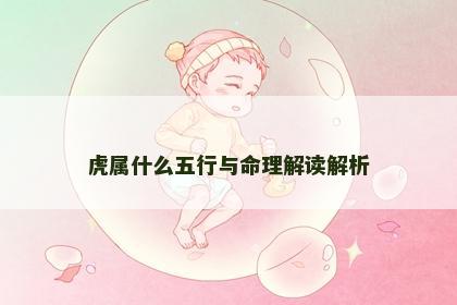 虎属什么五行与命理解读解析