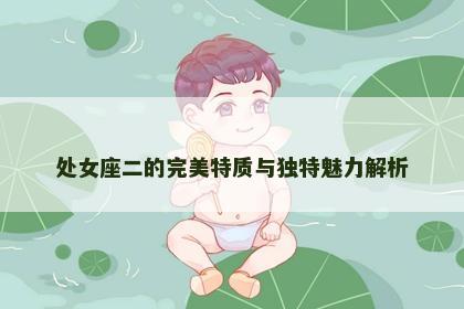 处女座二的完美特质与独特魅力解析