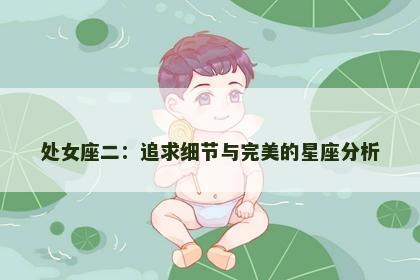 处女座二：追求细节与完美的星座分析