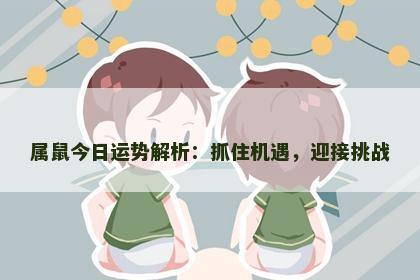 属鼠今日运势解析：抓住机遇，迎接挑战