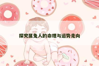 探究属兔人的命理与运势走向
