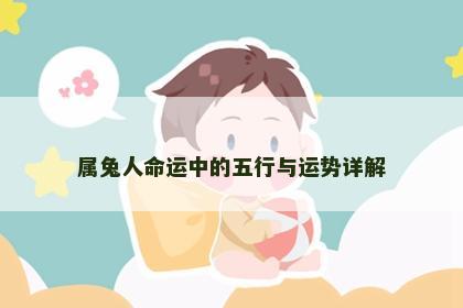 属兔人命运中的五行与运势详解