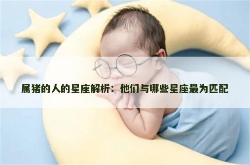 属猪的人的星座解析：他们与哪些星座最为匹配