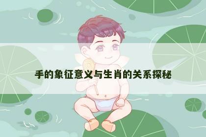 手的象征意义与生肖的关系探秘
