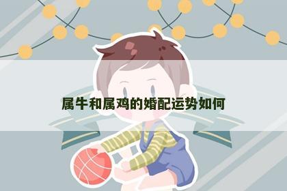 属牛和属鸡的婚配运势如何