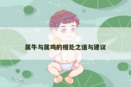 属牛与属鸡的相处之道与建议