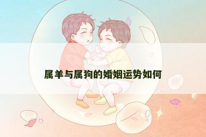 属羊与属狗的婚姻运势如何