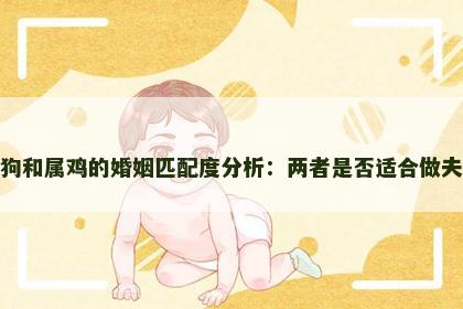 属狗和属鸡的婚姻匹配度分析：两者是否适合做夫妻