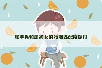 属羊男和属狗女的婚姻匹配度探讨