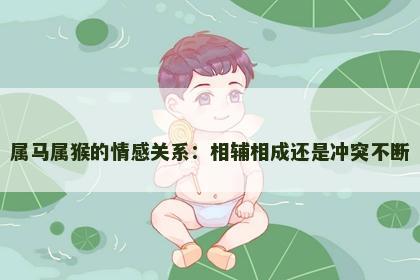 属马属猴的情感关系：相辅相成还是冲突不断