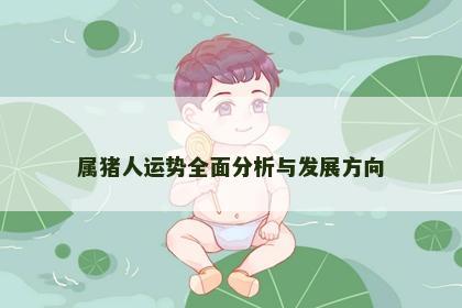 属猪人运势全面分析与发展方向 属猪人运势全面分析与发展方向