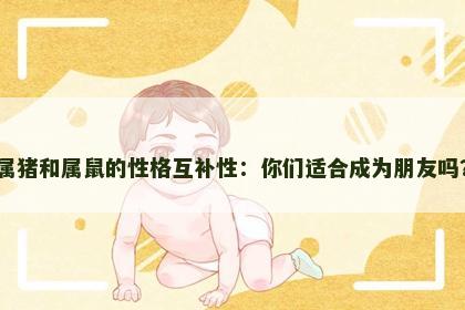 属猪和属鼠的性格互补性:你们适合成为朋友吗? 属猪和属鼠的性格互补性:你们适合成为朋友吗?