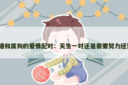 属猪和属狗的爱情配对：天生一对还是需要努力经营？