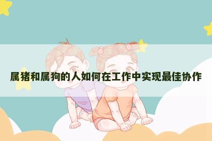 属猪和属狗的人如何在工作中实现最佳协作