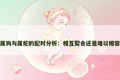 属狗与属蛇的配对分析:相互契合还是难以相容 属狗与属蛇的配对分析:相互契合还是难以相容