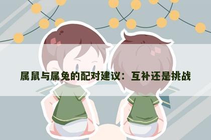 属鼠与属兔的配对建议：互补还是挑战